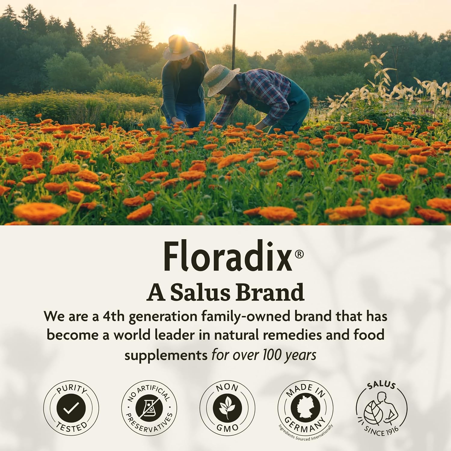 Floradix Calcium Liquid Supplement – Vegan, Non-GMO, 250 mL