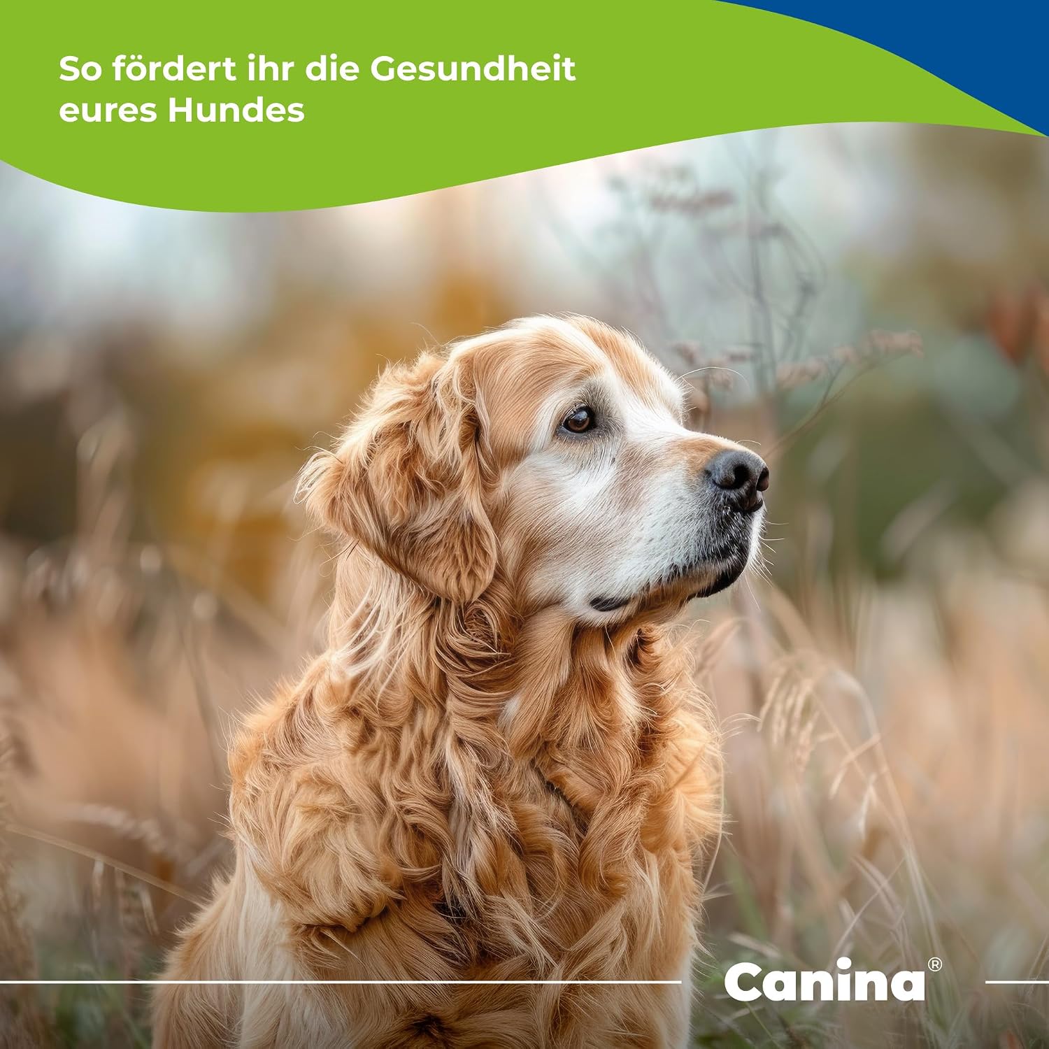 Canina V25 Vitamin Tablets 200 g