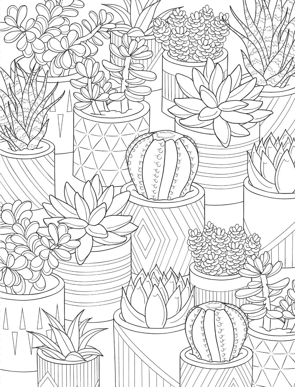 Healing Vibes: Colouring for Calm (Dover Adult Colouring Books)