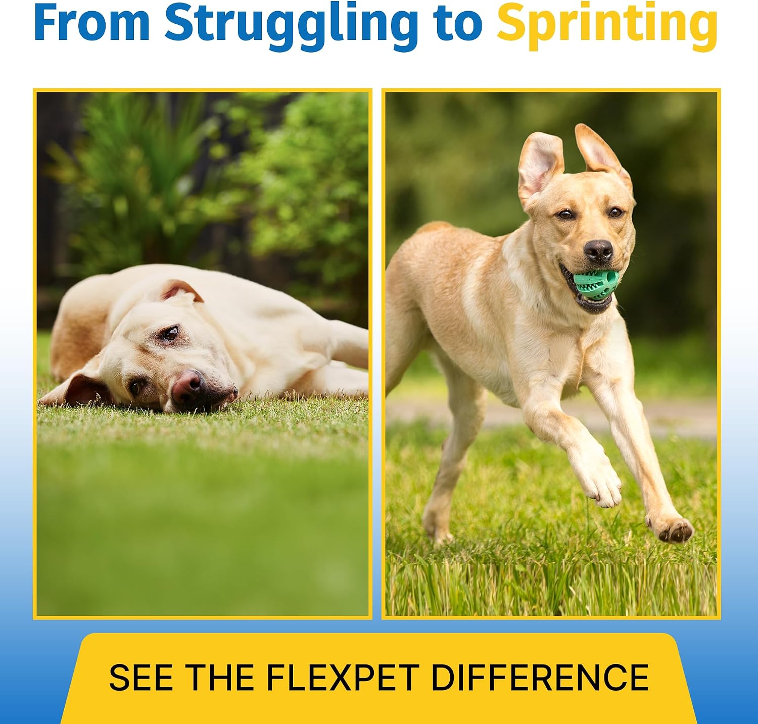 FlexPet Hip & Joint Supplement for Dogs & Cats with Cetyl Myristoleate, Glucosamine, Collagen, MSM – 180 Chewable Tablets (Pork Liver Flavour)