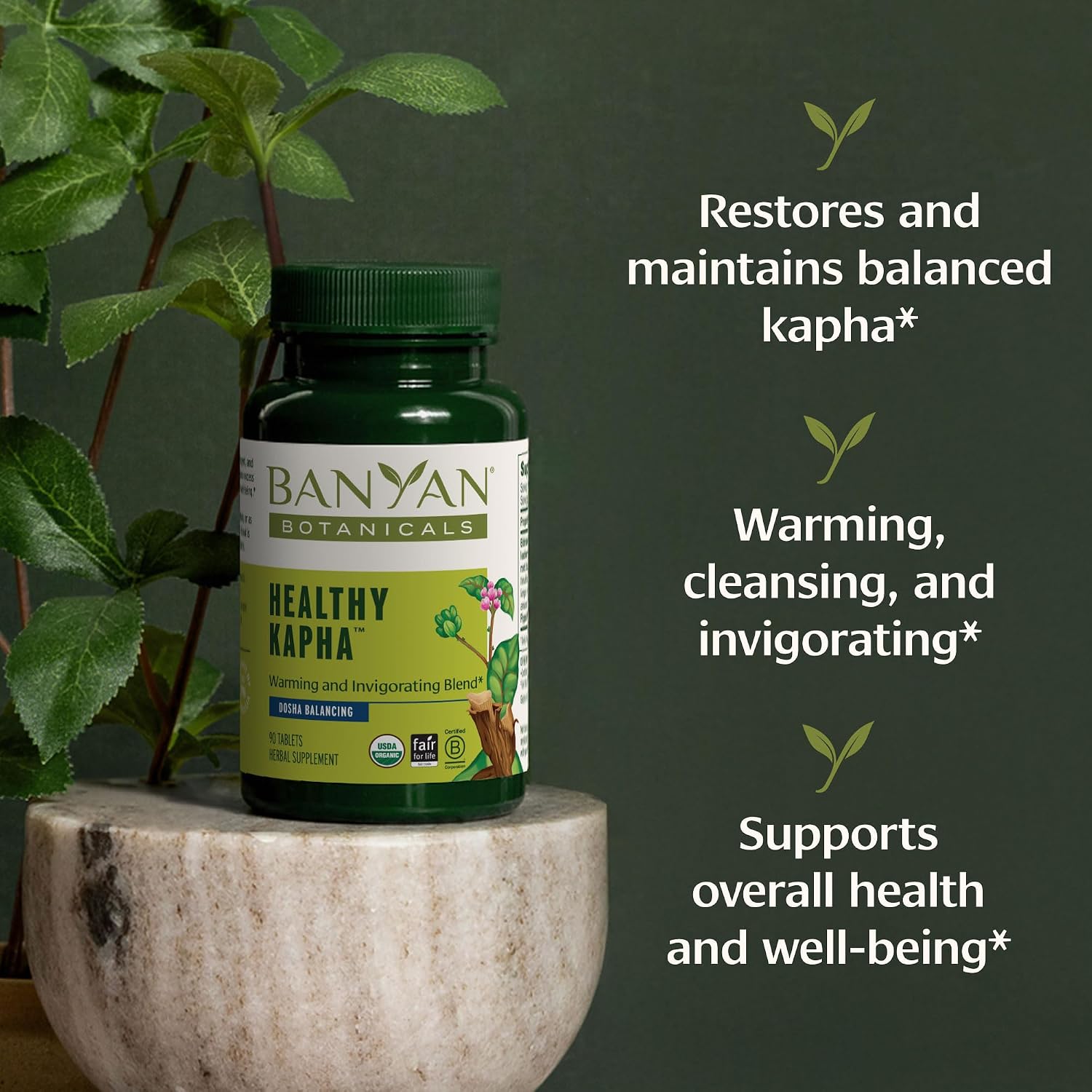 Banyan Botanicals Organic Healthy Kapha – Warming & Invigorating Herbal Supplement – 90 Tablets - görsel 2