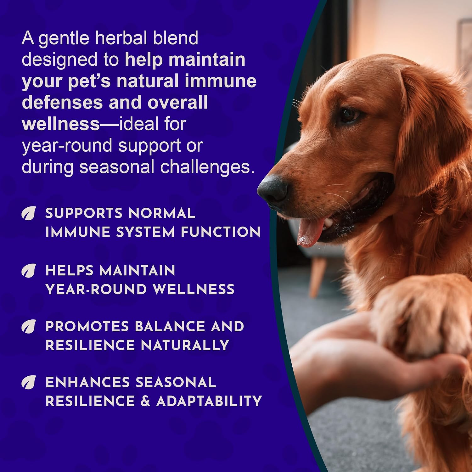Animal Essentials Super Immune – Immune Support Supplement for Dogs and Cats (60 ml) - görsel 5