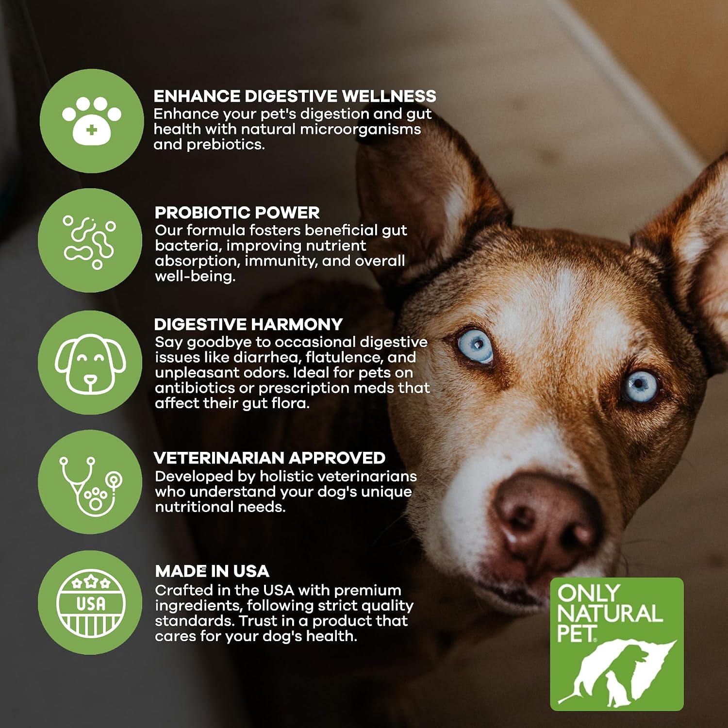 Only Natural Pet Probiotic for Dogs and Cats - Digestive and Intestinal Tract Health - 90 Capsules