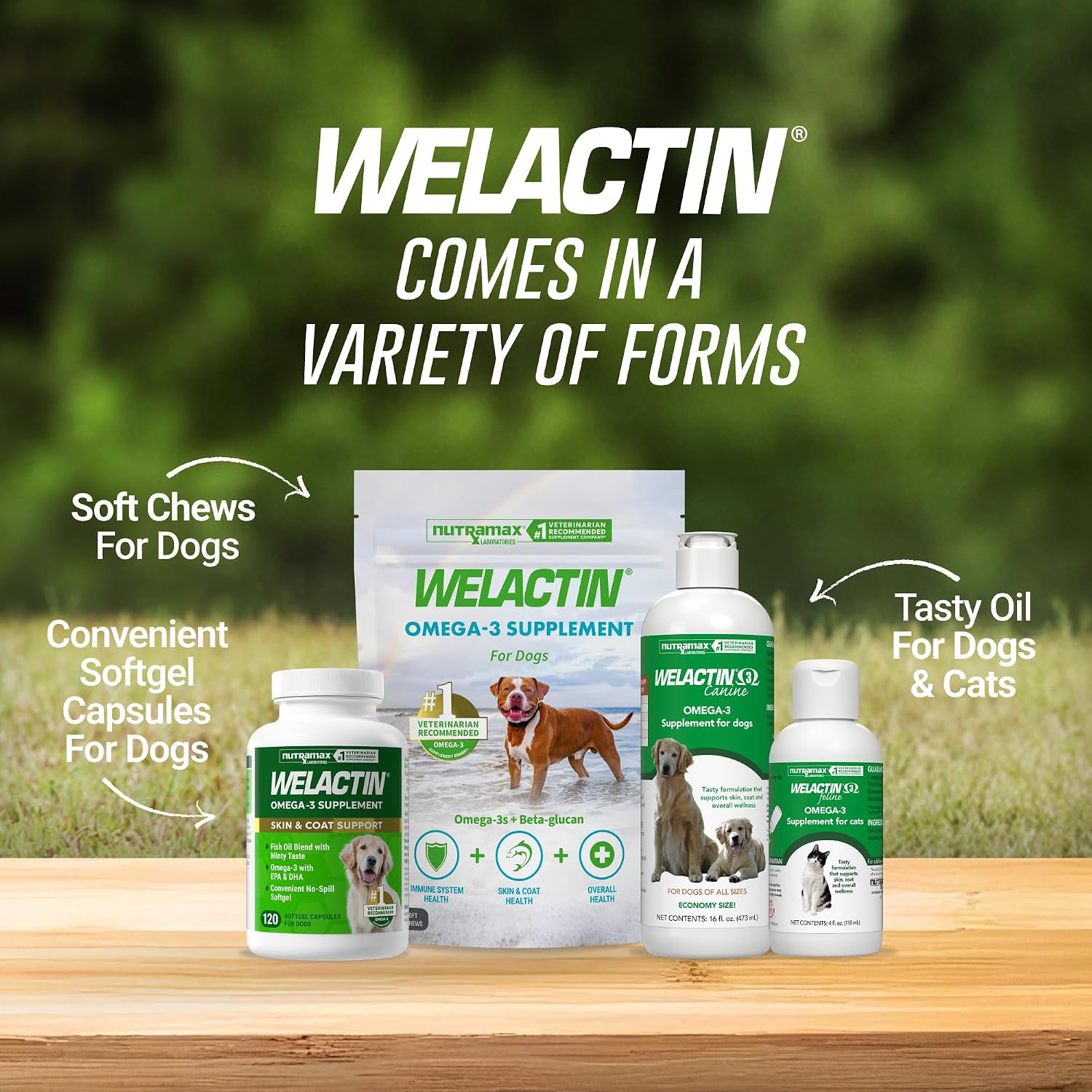 Nutramax Welactin Canine Softgels - Omega-3 Supplement for Dogs (120 Softgels)