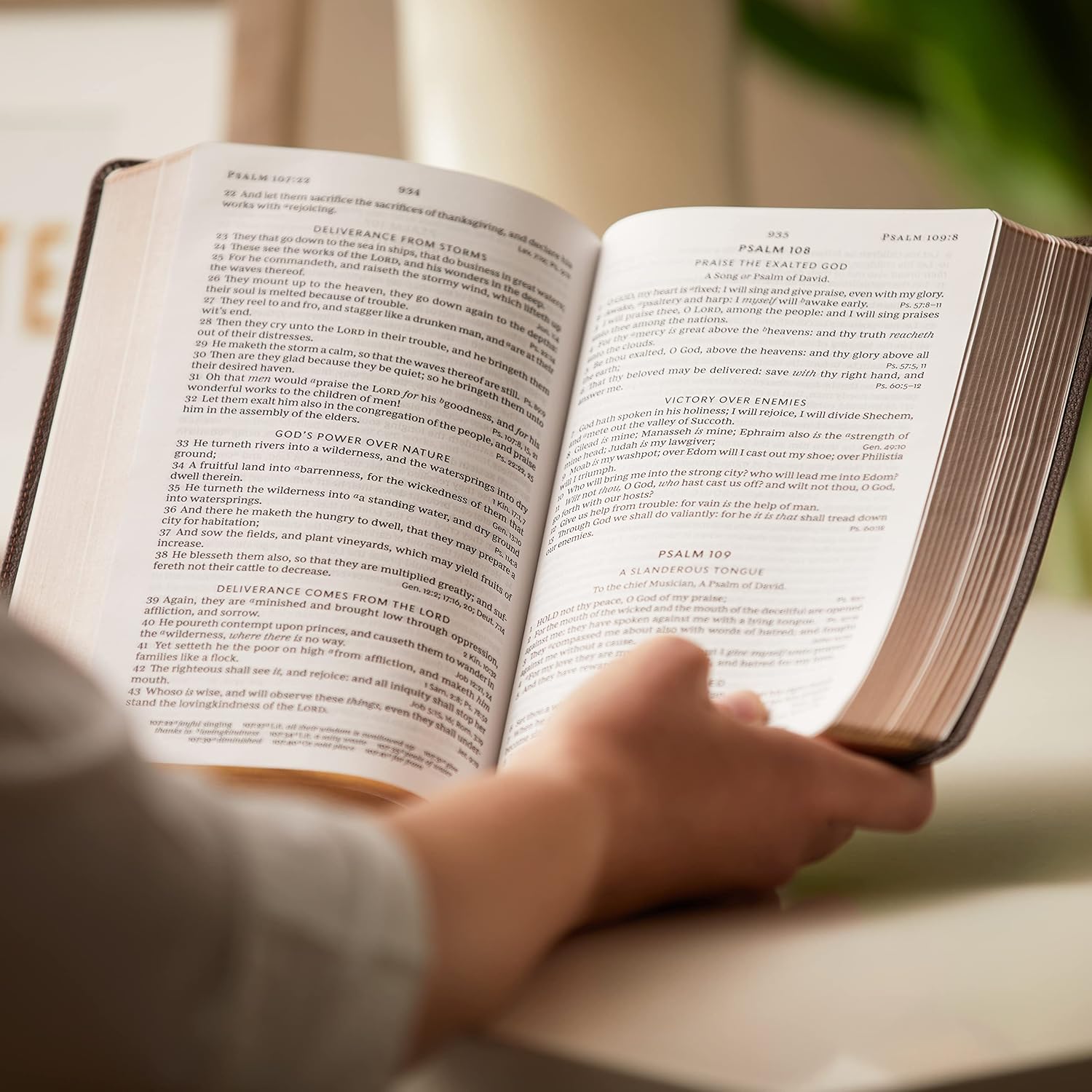 KJV Holy Bible: Large Print Single-Column with 43,000 End-of-Verse Cross References, Brown Genuine Leather, Personal Size, Red Letter, Comfort Print