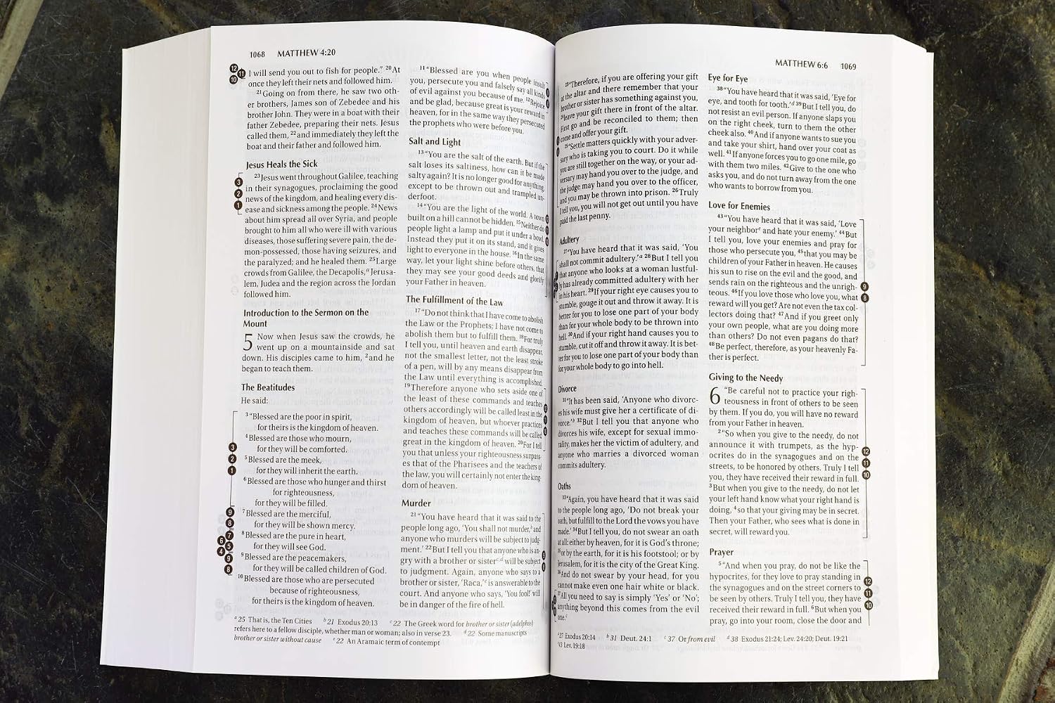 NIV Recovery Devotional Bible, Paperback
