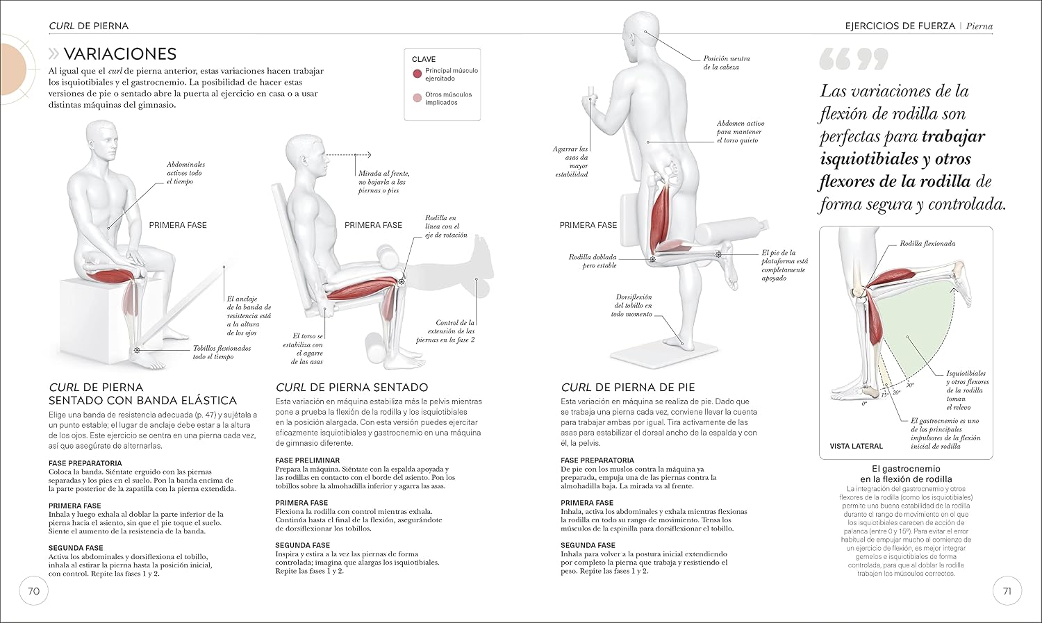 Science of Strength Training: Improve Your Technique, Prevent Injury, Perfect Your Training