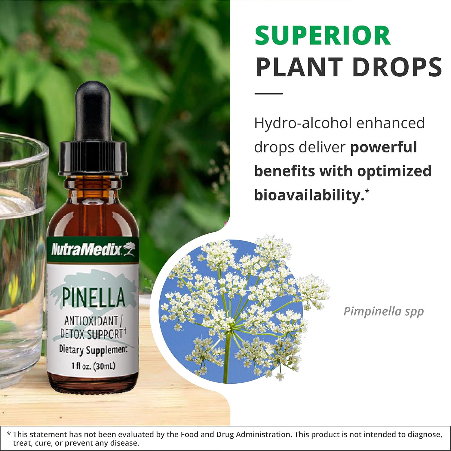 NutraMedix Pinella - Liquid Anise Drops for Brain Health Support (30 ml)