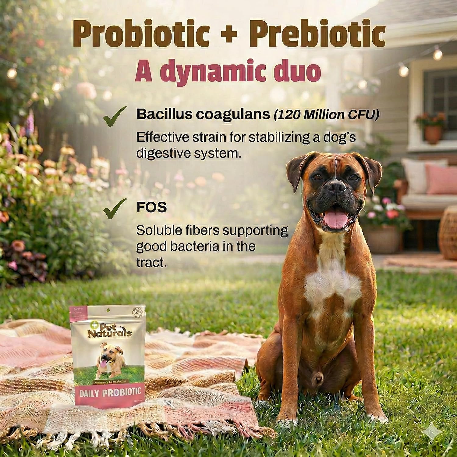 Pet Naturals Daily Probiotic Soft Chews for Dogs, Digestive and Immune Support Supplement, 1 Billion CFU Per Chew, Duck, 60 Count