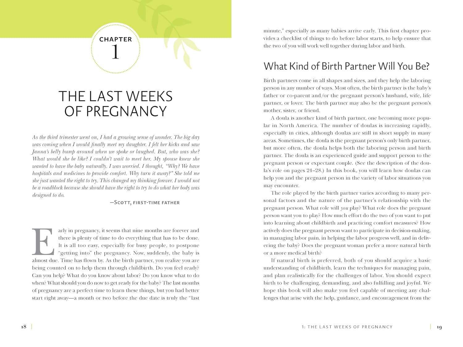 The Birth Partner, Sixth Revised Edition: A Complete Guide to Childbirth for Dads, Partners, Doulas, and Other Labour Companions