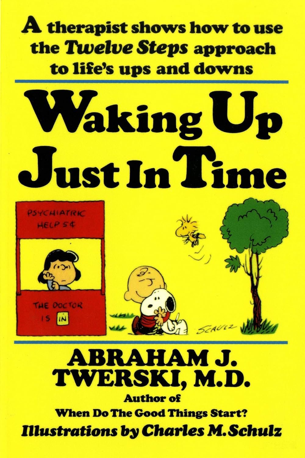 Waking up Just in Time: A Therapist Shows How to Use the Twelve Steps Approach to Life's Ups and Downs