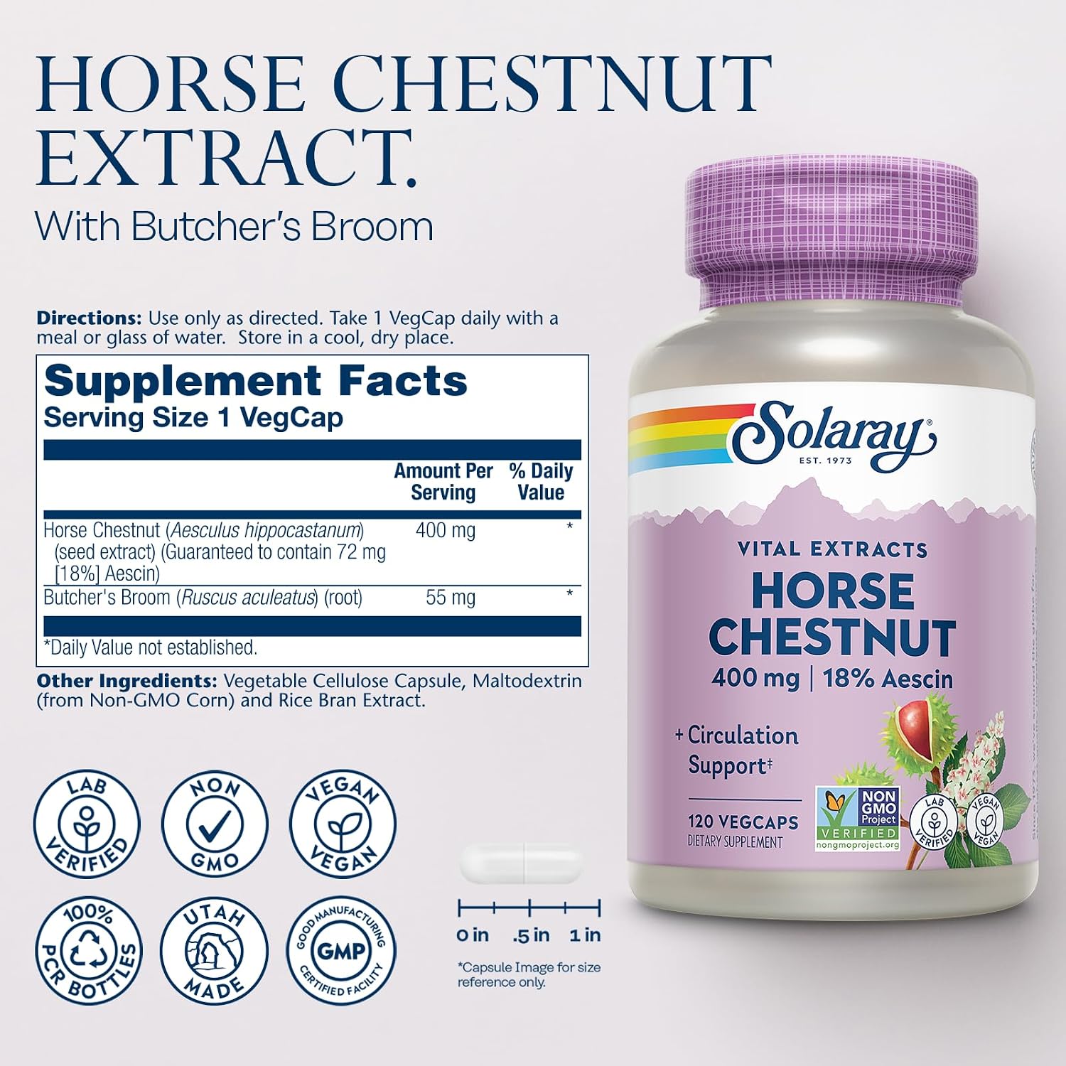 SOLARAY Horse Chestnut Extract 400 mg – Standardized to 72 mg Aescin with Butcher's Broom – Vein & Circulation Support – Vegan, Non-GMO – 120 Veg Caps