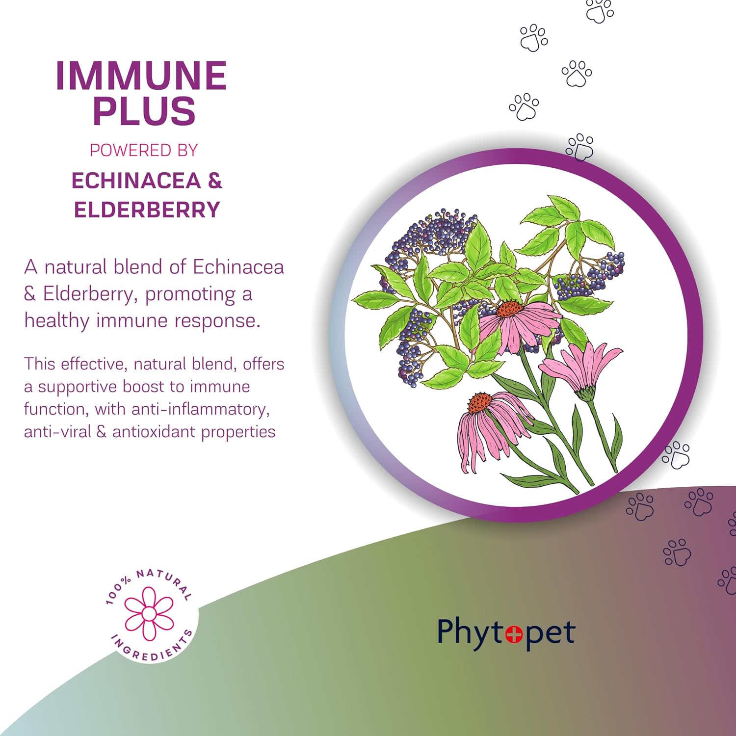 Phytopet Immune Plus – Natural Herbal Immune Support for Pets (30 mL)