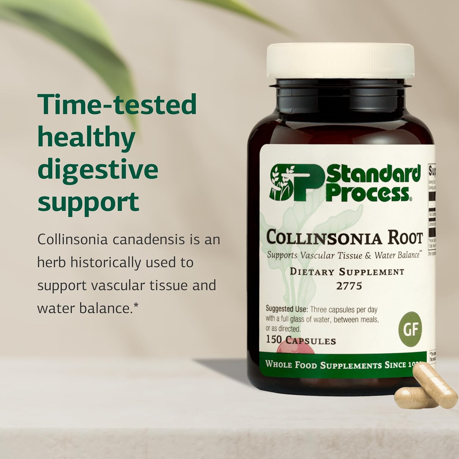 Standard Process Collinsonia Root – Vascular and Kidney Health Support, 150 Capsules
