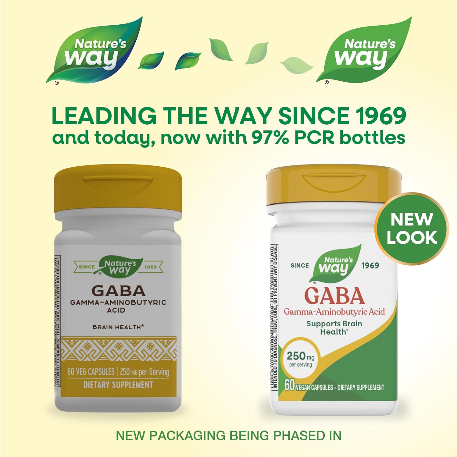 Nature's Way GABA, 250 mg, 60 Vegan Capsules – Supports Brain Health
