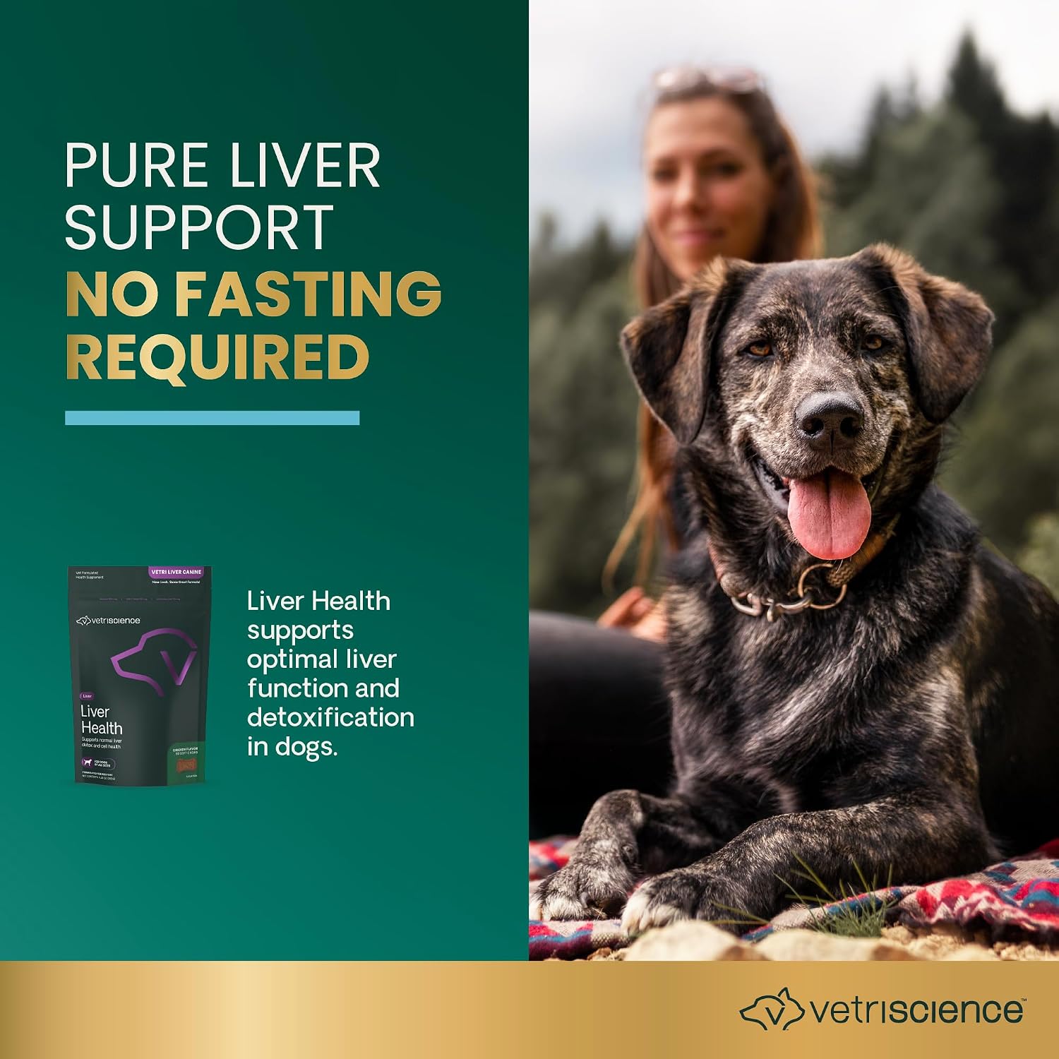 VetriScience Liver Health Chews with Milk Thistle - Liver Support Supplement for Dogs - 60 Count
