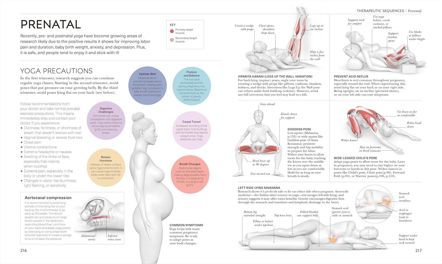 Science of Yoga: Understand the Anatomy and Physiology to Perfect Your Practice