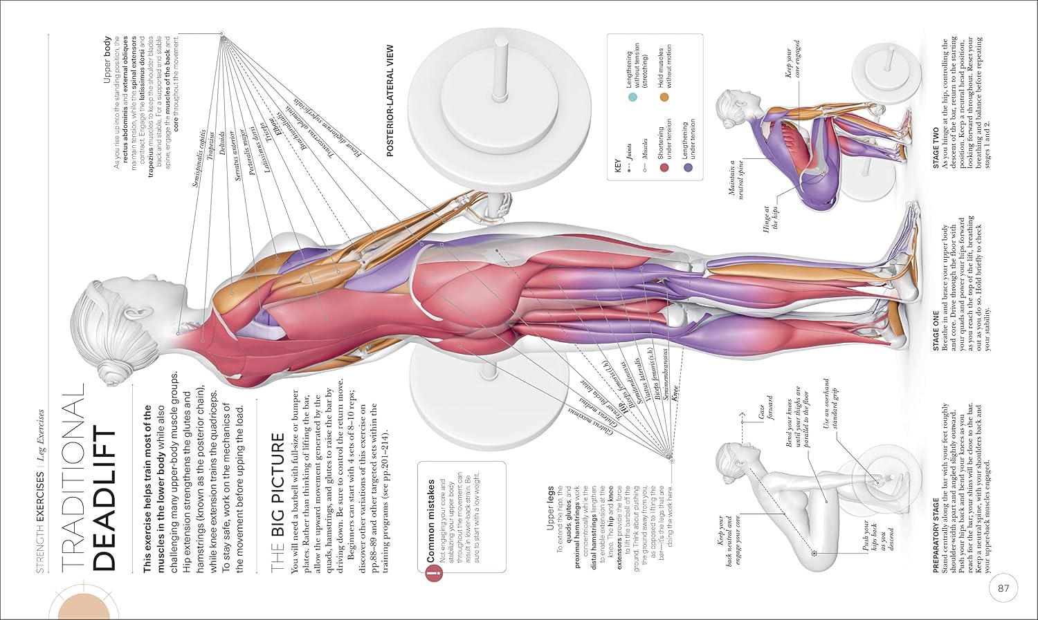 Science of Strength Training: Understand the Anatomy and Physiology to Transform Your Body (The Science of Fitness)