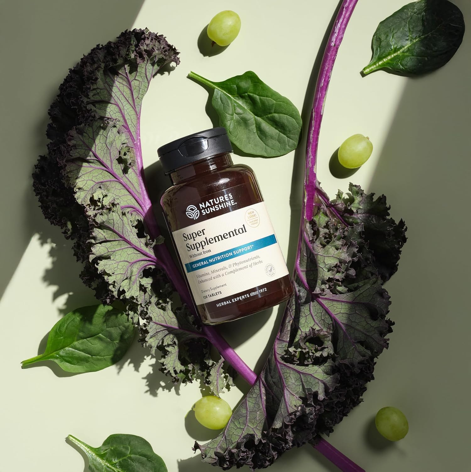 Nature's Sunshine Super Supplementary w/o Iron – Complete Multivitamin with Minerals, Herbs & Amino Acids