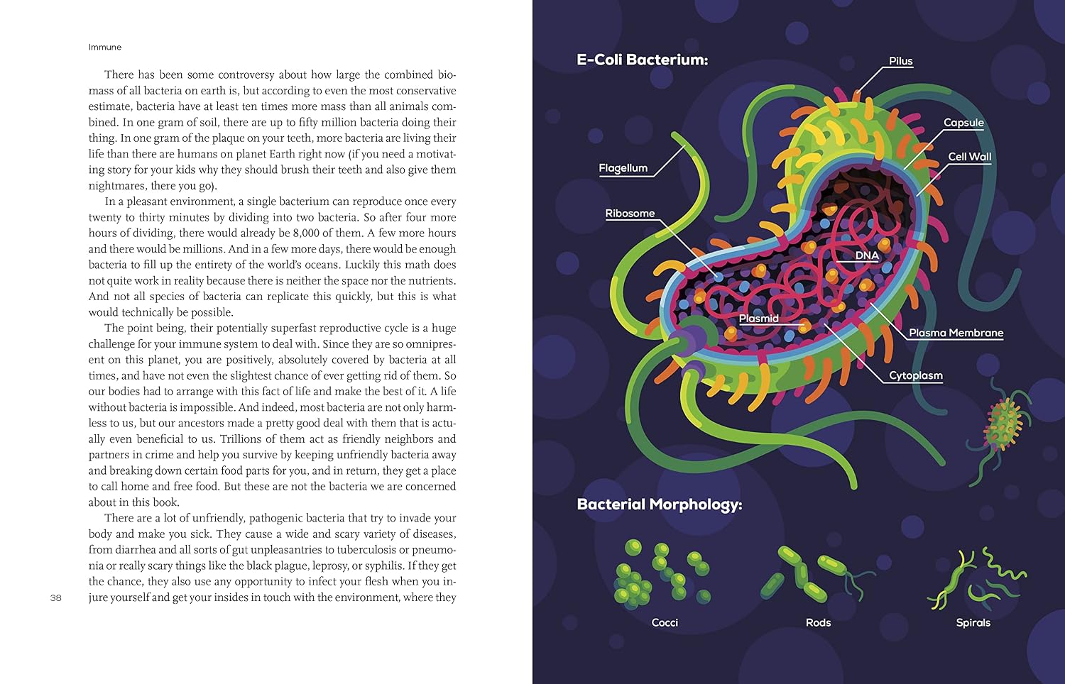 Immune: A Journey into the Hidden System That Keeps You Alive
