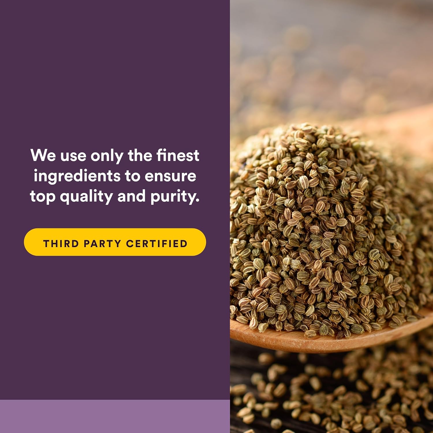 Celery Seed Extract by Natural Factors – 60 Capsules