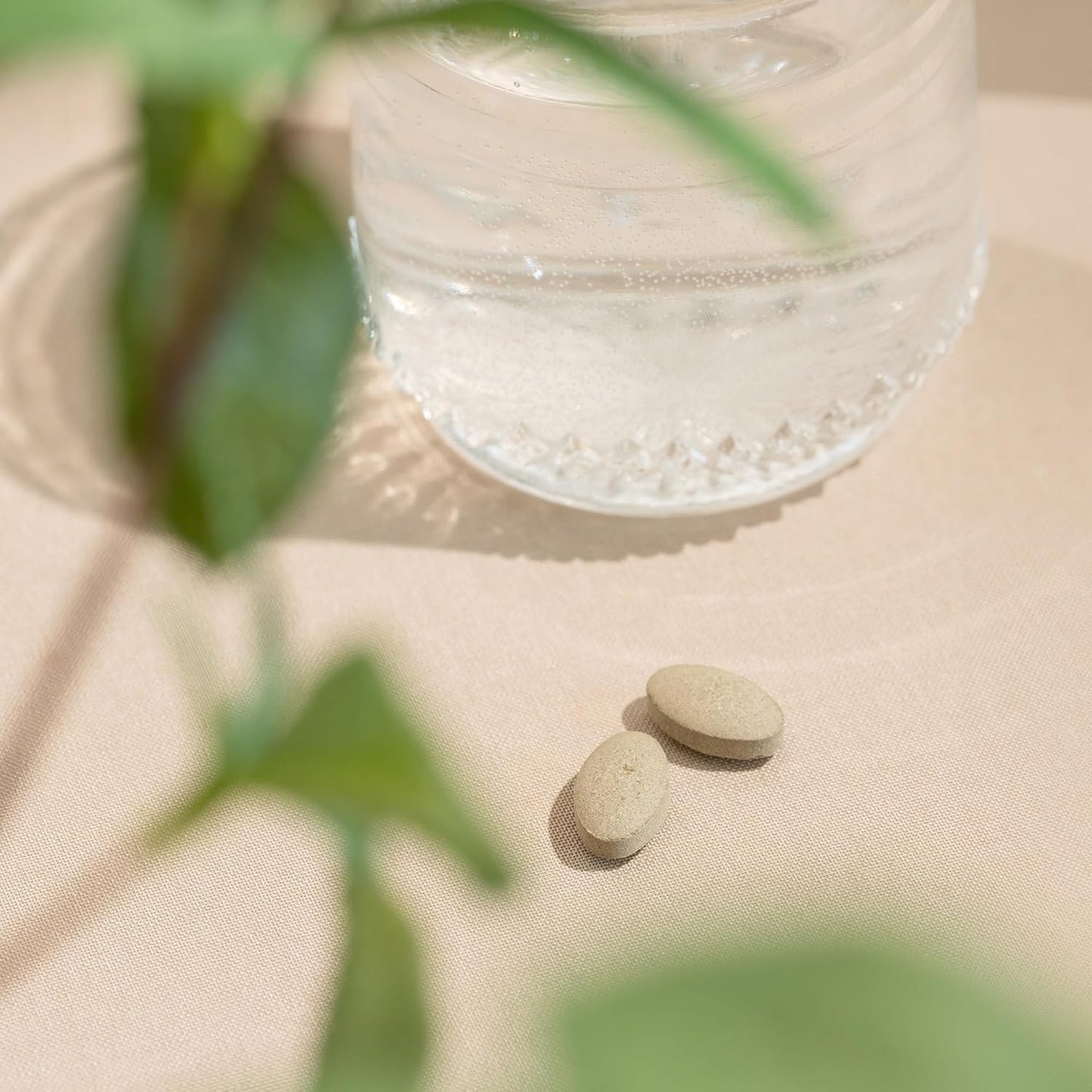 Banyan Botanicals Organic Tranquil Mind - Nervous System Support & Physical Relaxation - 90 Tablets - görsel 4