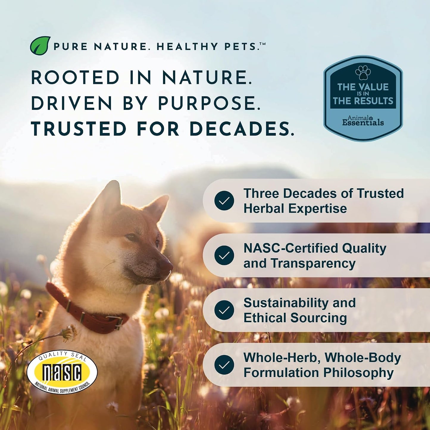 Animal Essentials Seasonal Allergy Liquid Herbal Support for Dogs & Cats – 30 mL - görsel 8
