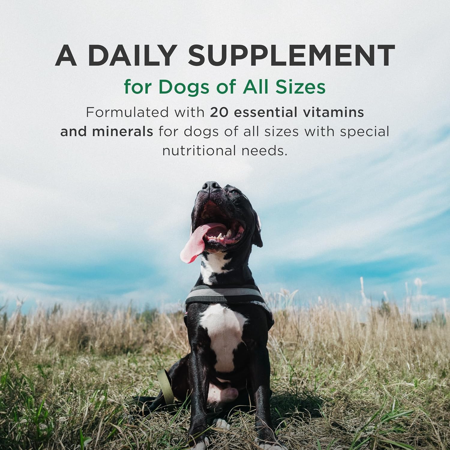 Pet-Tabs Plus Dog Multivitamin - 180 Chewable Tablets