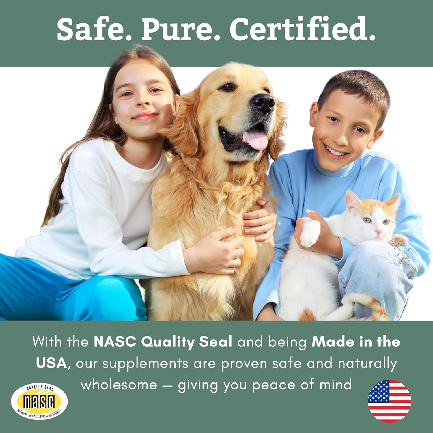 Wholistic Pet Organics Diatomaceous Earth - Food Grade for Dogs & Cats, 4 oz (113 g)