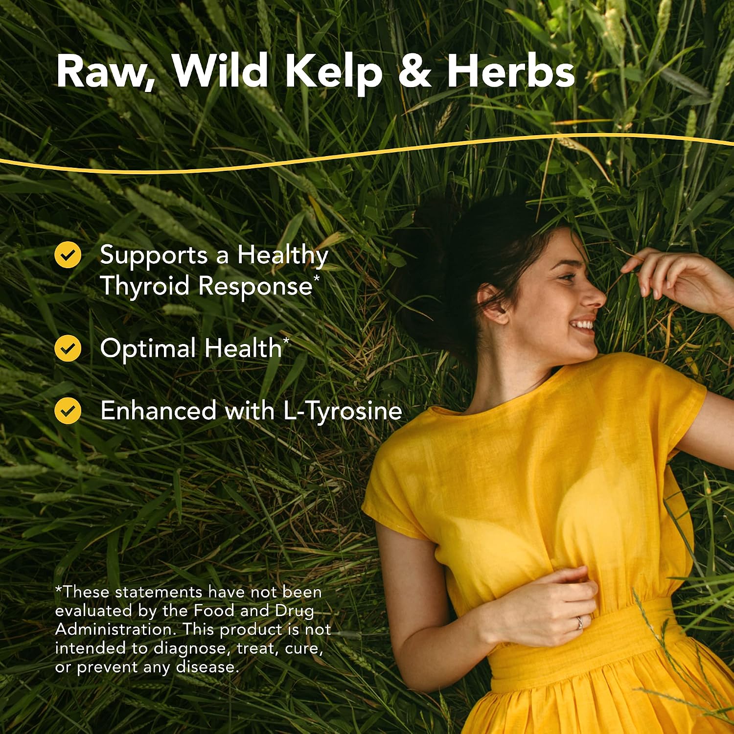 NORTH AMERICAN HERB & SPICE Thyroset – Wild Kelp & Herbs Thyroid Support – 90 Capsules