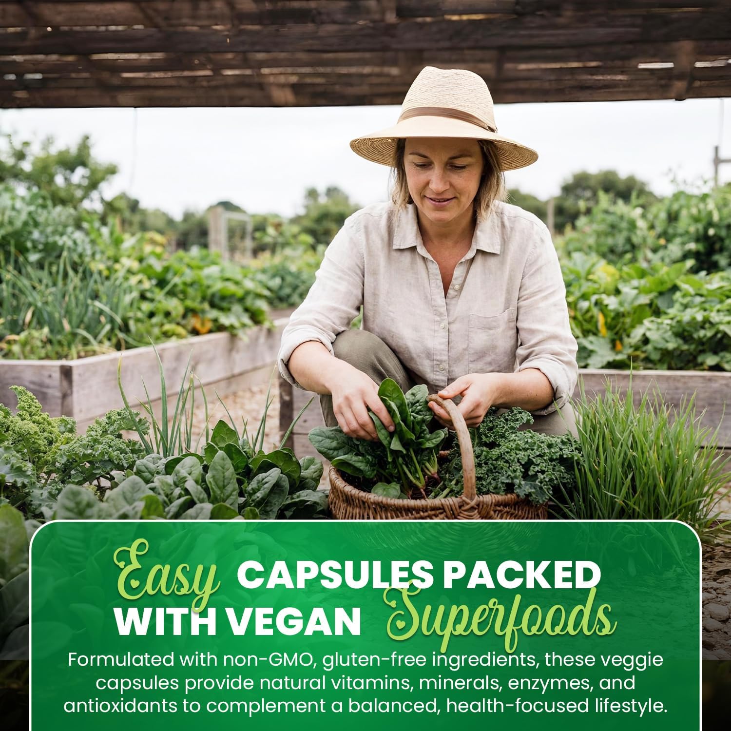 Greens+ Organic Superfood Capsules – 240 Capsules
