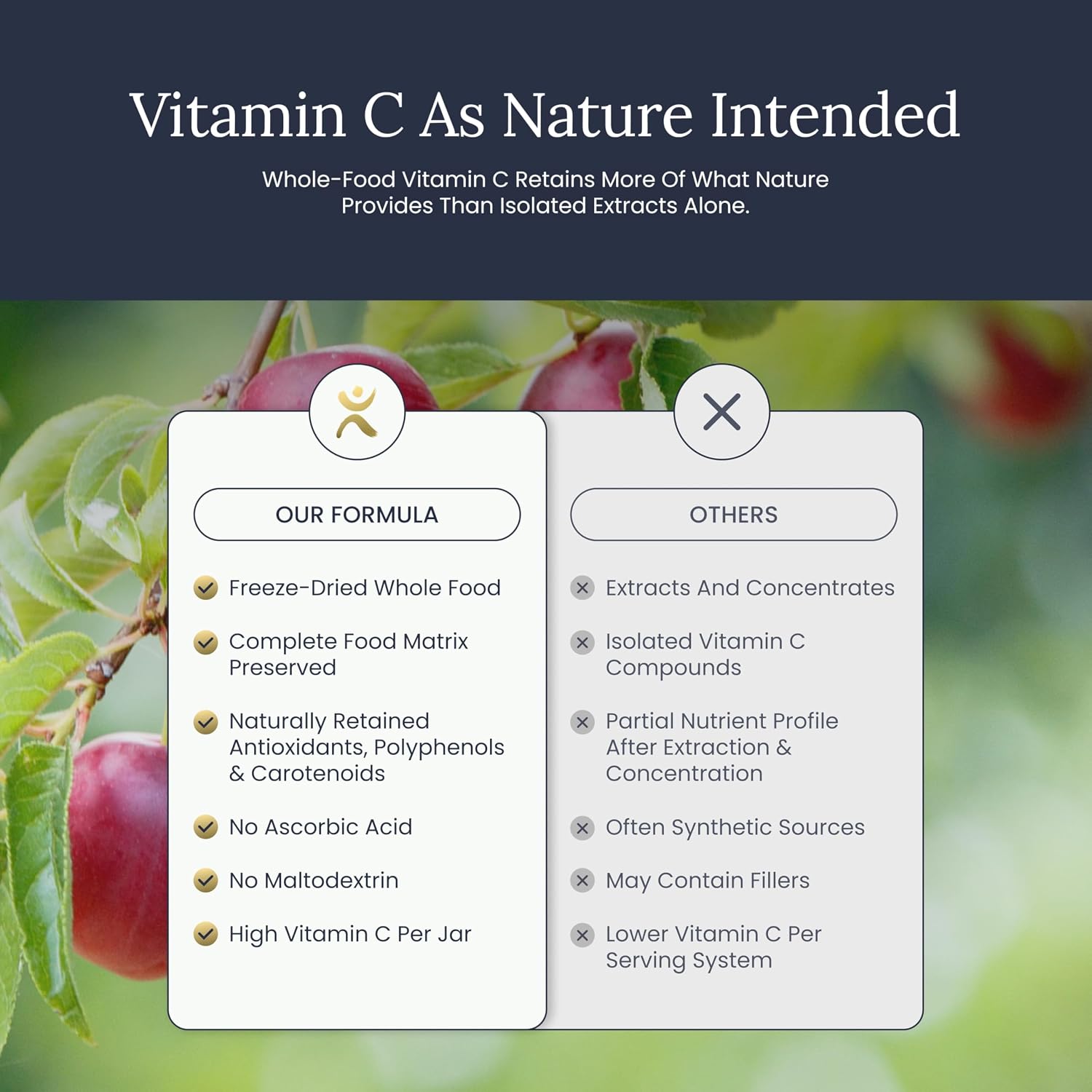 Infinity-C Organic Whole-Food Sourced Vitamin C Powder | Acerola, Camu Camu & Amla | 1000mg Superfood C | High-Potency | Shilajit, Astragalus Root & Ginger | Vegan, Non-GMO (30 Servings)