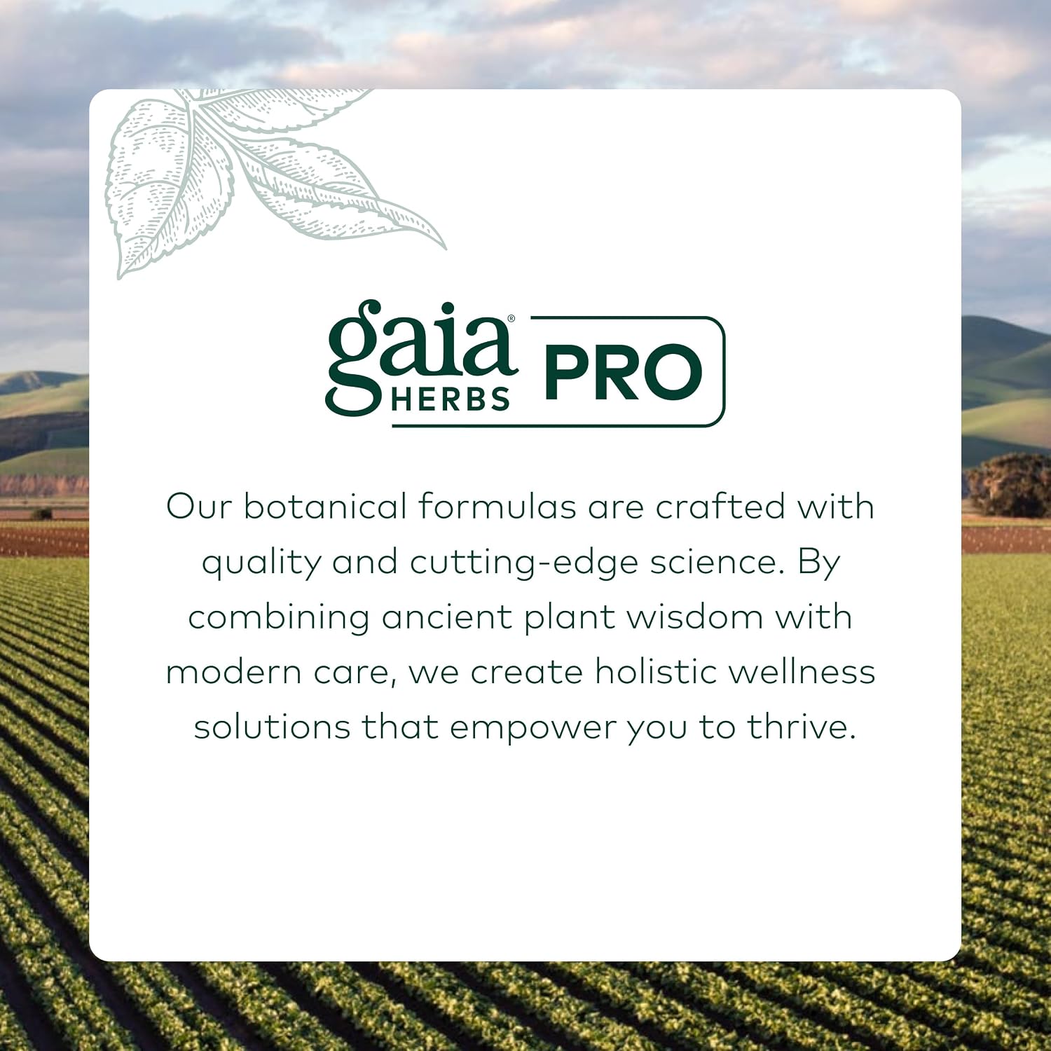 GAIA HERBS PRO Cognitive Formula – Brain Health & Blood Flow Support with Fo-Ti Root, Ginkgo Leaf, & Gotu Kola Leaf – 60 Liquid Phyto-Caps (30 Servings)