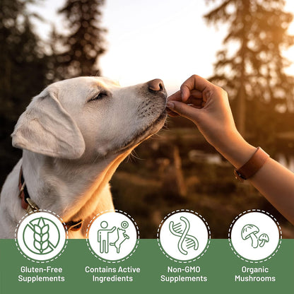 Aloha Medicinals K9 Immunity, Immune Support Supplement for Dogs, Organic Mushroom Blend, 90 Capsules