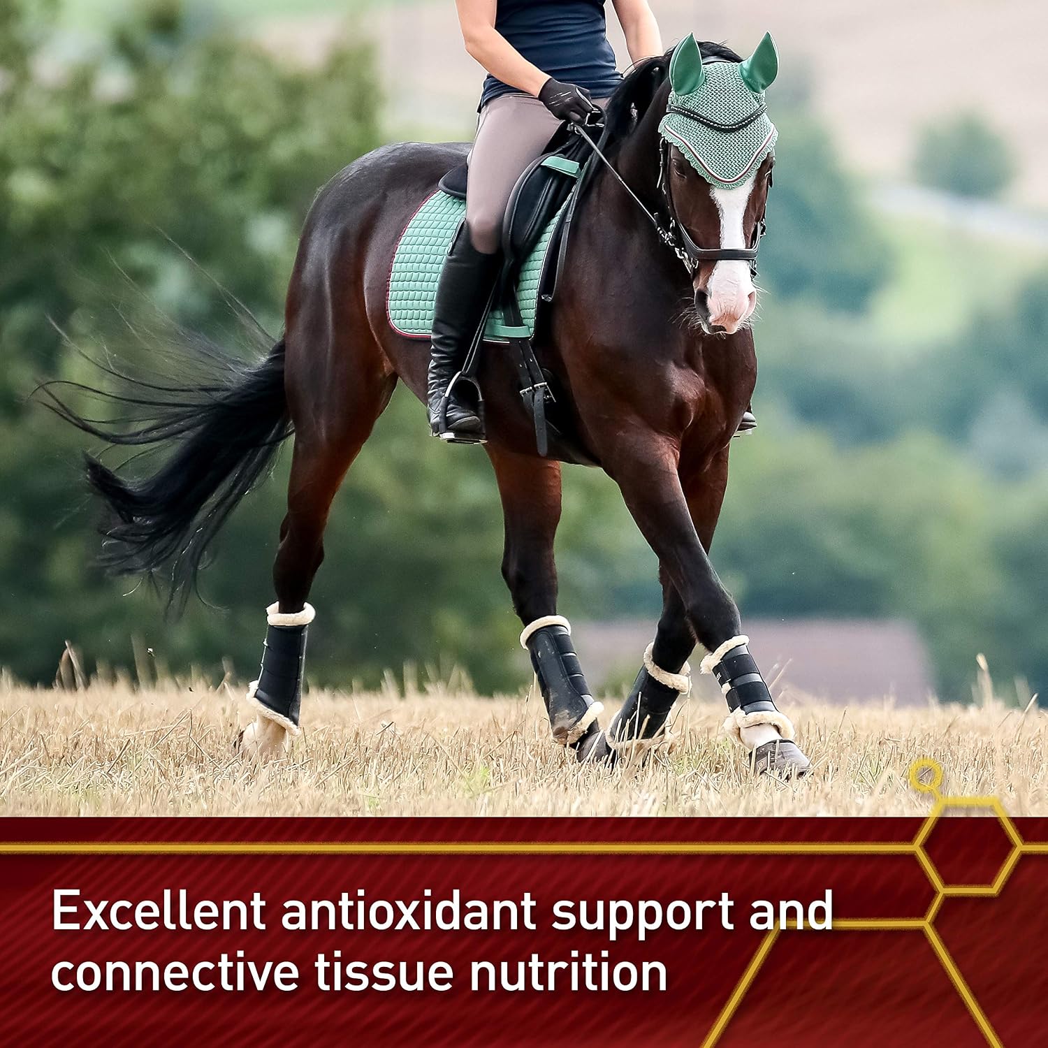 Vita Flex Pro Pure C – Premium Antioxidant Vitamin C for Horses, 2 lb