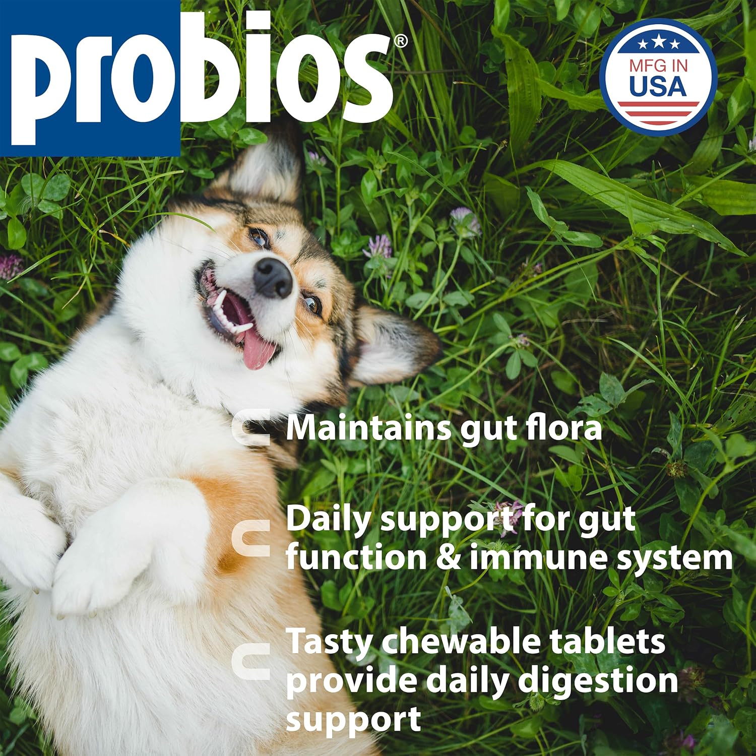 Probios Chewable Probiotic Tablets for Dogs - Chicken Liver Flavour, 45 Count