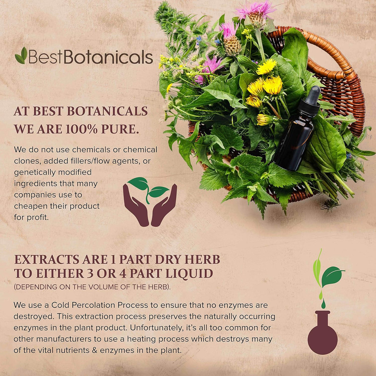 Best Botanicals Poke Root Extract, 30 mL - görsel 4
