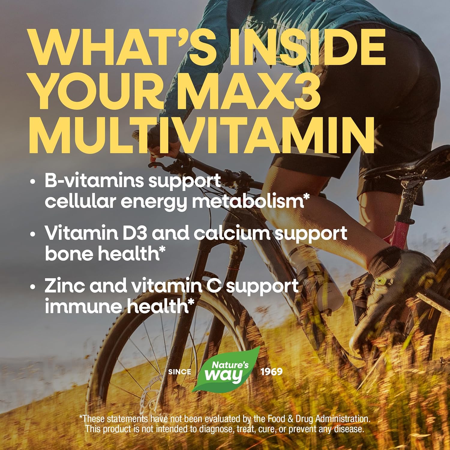 Nature's Way Alive! Max3 Potency Daily Multivitamin, No Iron Added, 90 Tablets