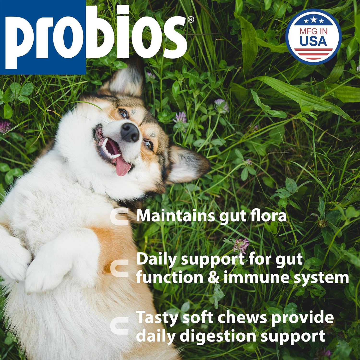 Probios for Dogs Soft Chews - Daily Probiotic Supplement for Gut Health, Digestion & Immune Support - Chicken Liver Flavour - 120 Chews