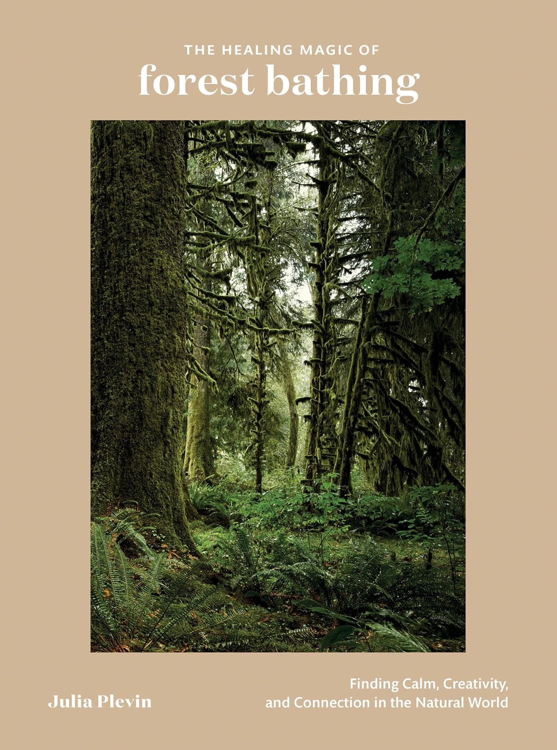 The Healing Magic of Forest Bathing: Embrace Calm, Creativity, and Connection in Nature