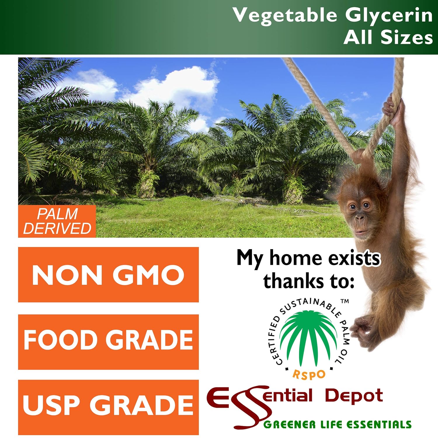 Vegetable Glycerin – 1 Pint (473 mL) – RSPO Sustainable Palm, Non-GMO, Kosher, USP Food Grade