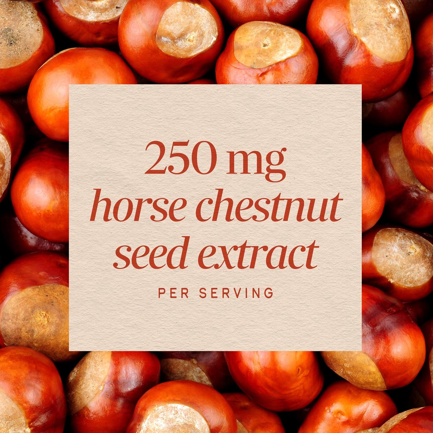 Nature's Way Horse Chestnut Extract – Premium Extract, Helps Support Healthy Leg Veins, Standardized to 20% Aescin, 90 Capsules