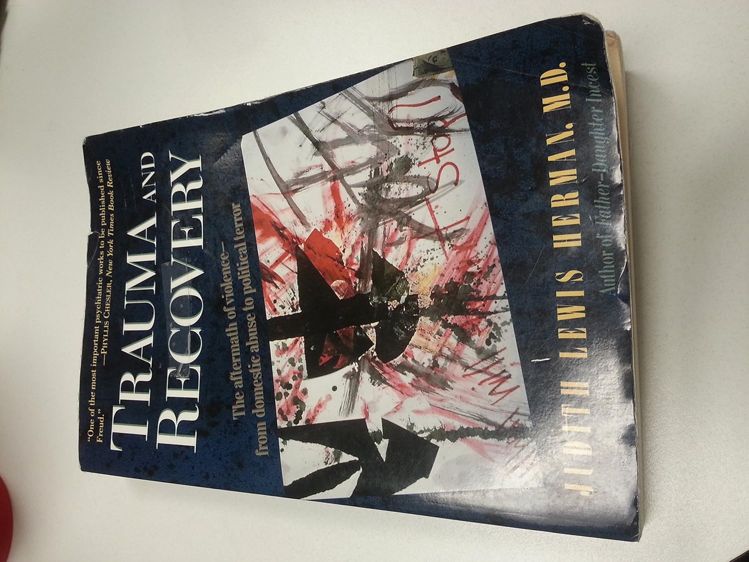 Trauma And Recovery: The Aftermath Of Violence – From Domestic Abuse To Political Terror