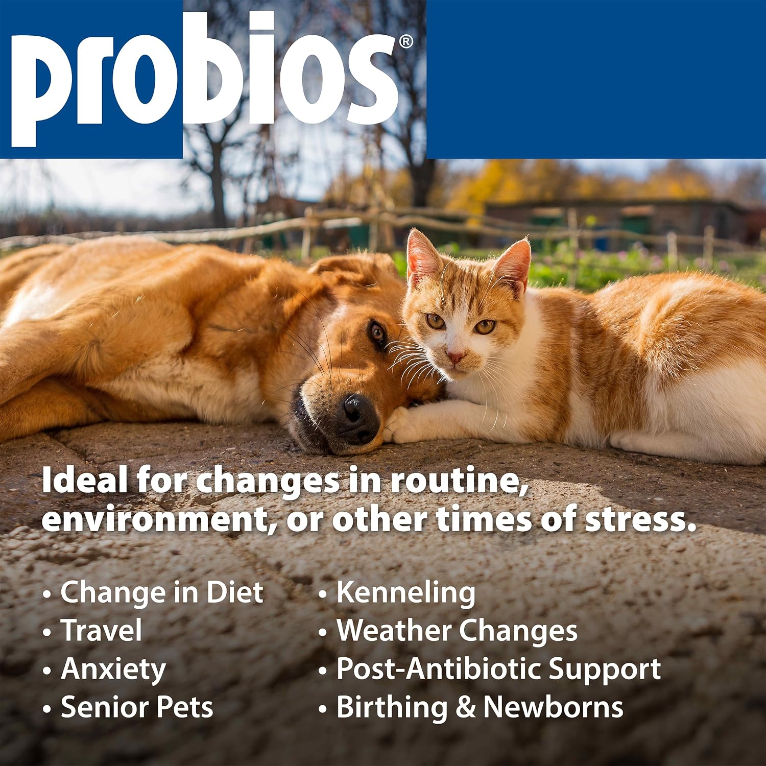 Probios Chewable Probiotic Tablets for Dogs - Chicken Liver Flavour, 45 Count