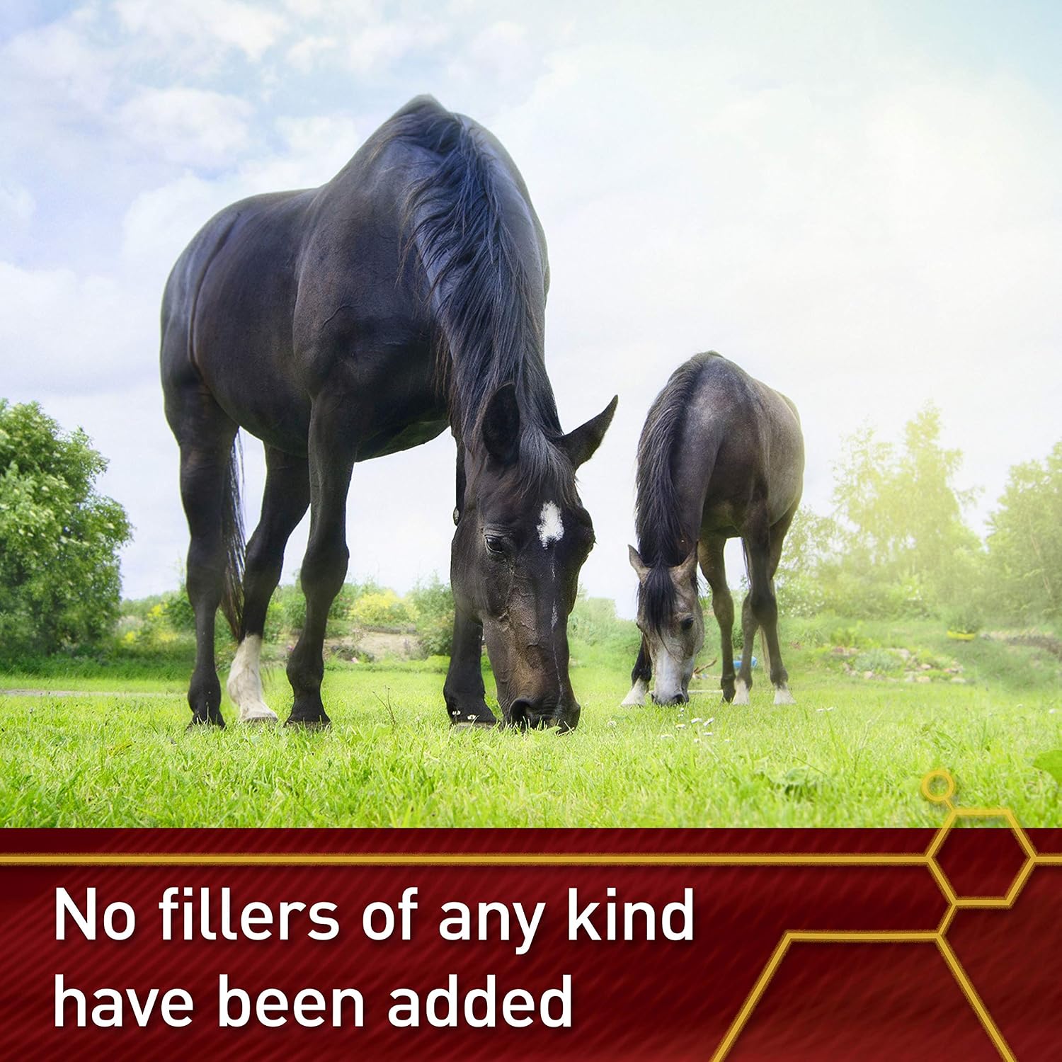 Vita Flex Pro Pure C – Premium Antioxidant Vitamin C for Horses, 2 lb