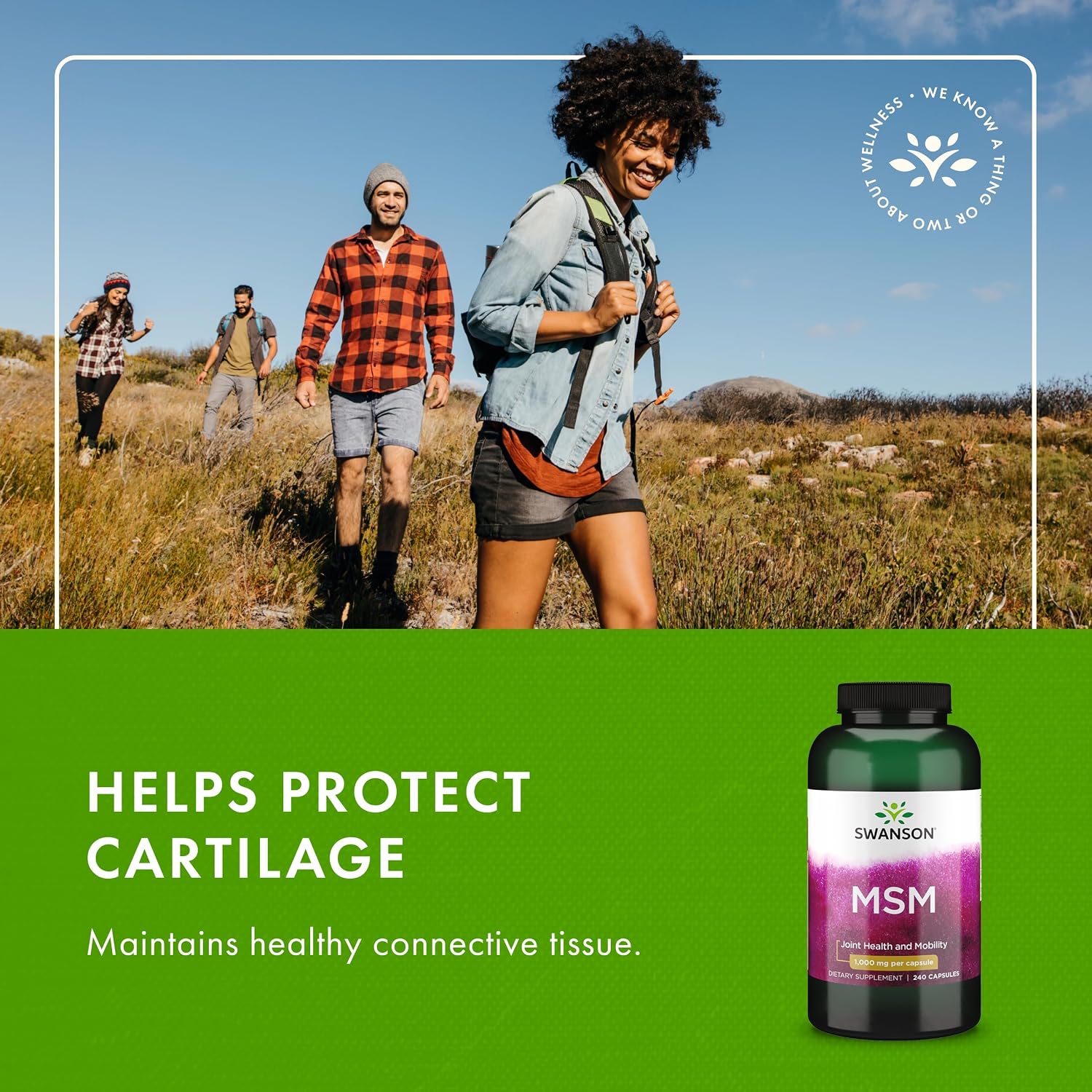 Swanson MSM 1000 mg Capsules - Joint Health & Connective Tissue Support (240 Capsules)