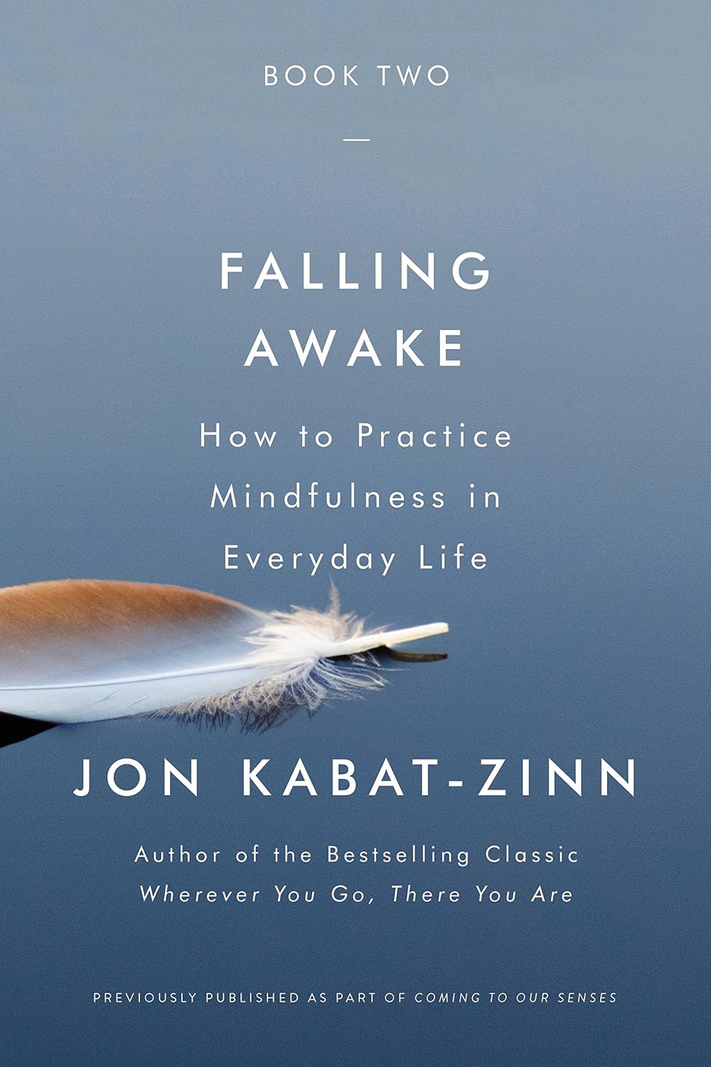 Falling Awake: How to Practise Mindfulness in Everyday Life