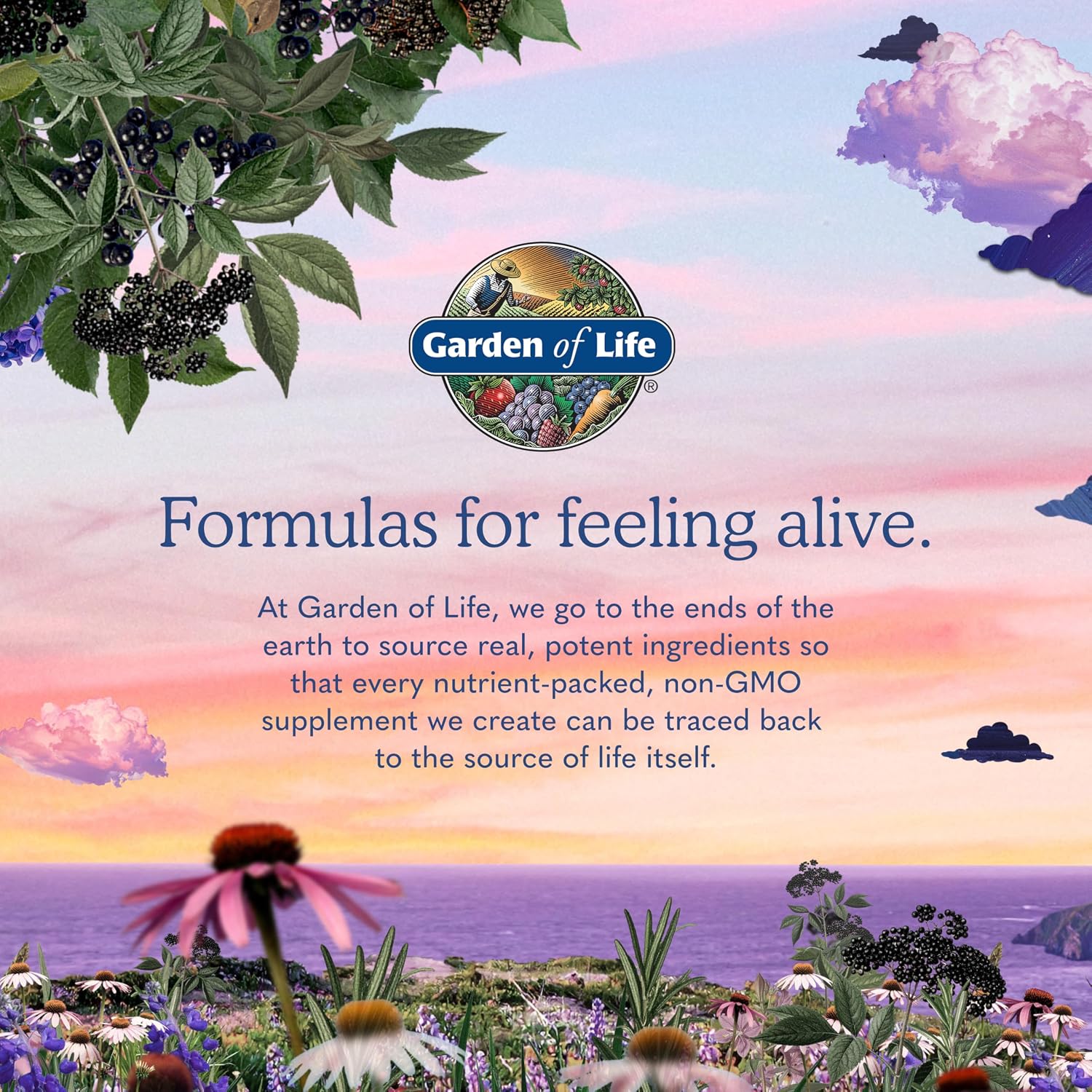 Garden of Life Vitamin Code Women 50 & Wiser Multivitamin – Whole Food with Probiotics, 240 Capsules