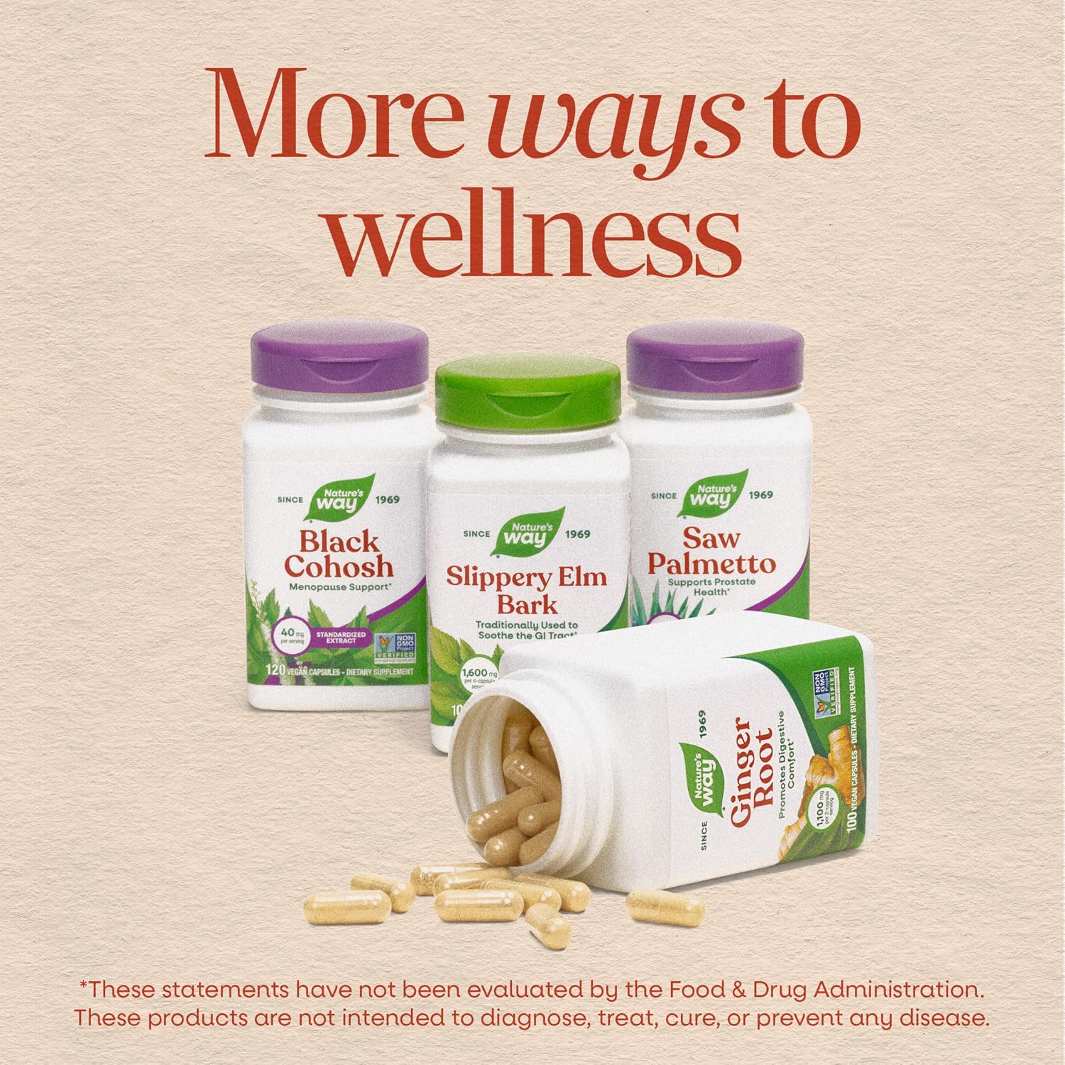 Nature's Way Horse Chestnut Extract – Premium Extract, Helps Support Healthy Leg Veins, Standardized to 20% Aescin, 90 Capsules