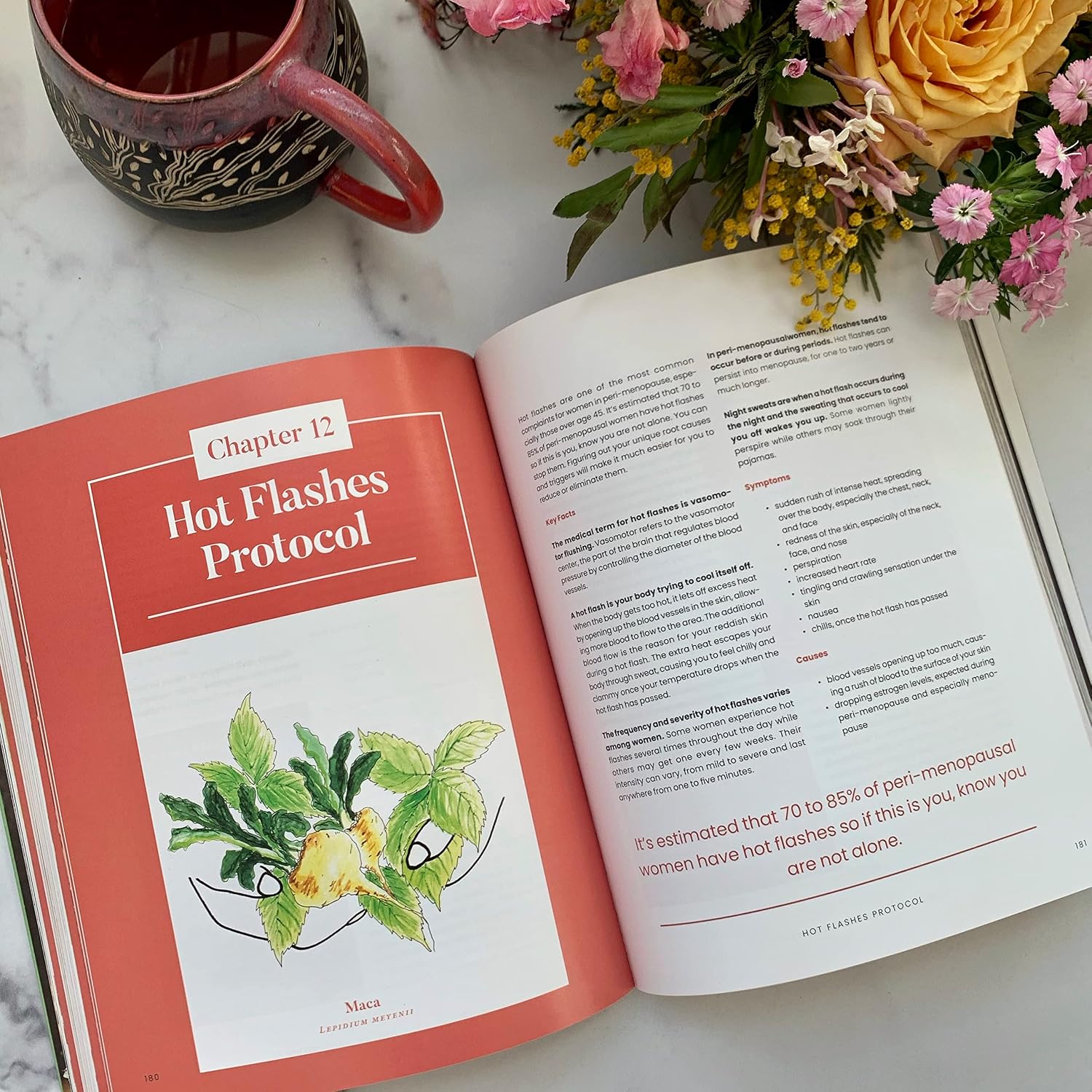 Overcoming Estrogen Dominance: Resolving Symptoms with Nutrition, 28-Day Meal Plans, Herbs and Supplements